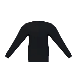 Fitted Sweater (Black)