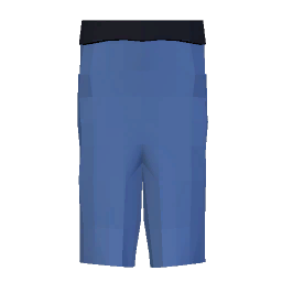 Shorts (Blue)