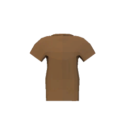 T-Shirt (Brown)